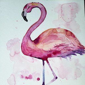 Flamingo